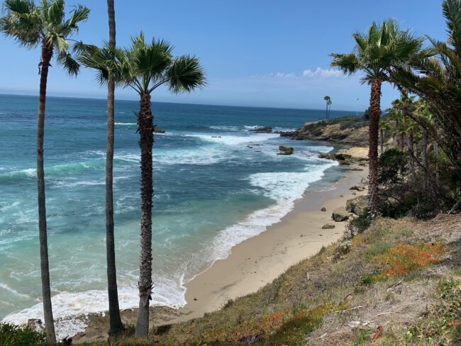 laguna beach wedding